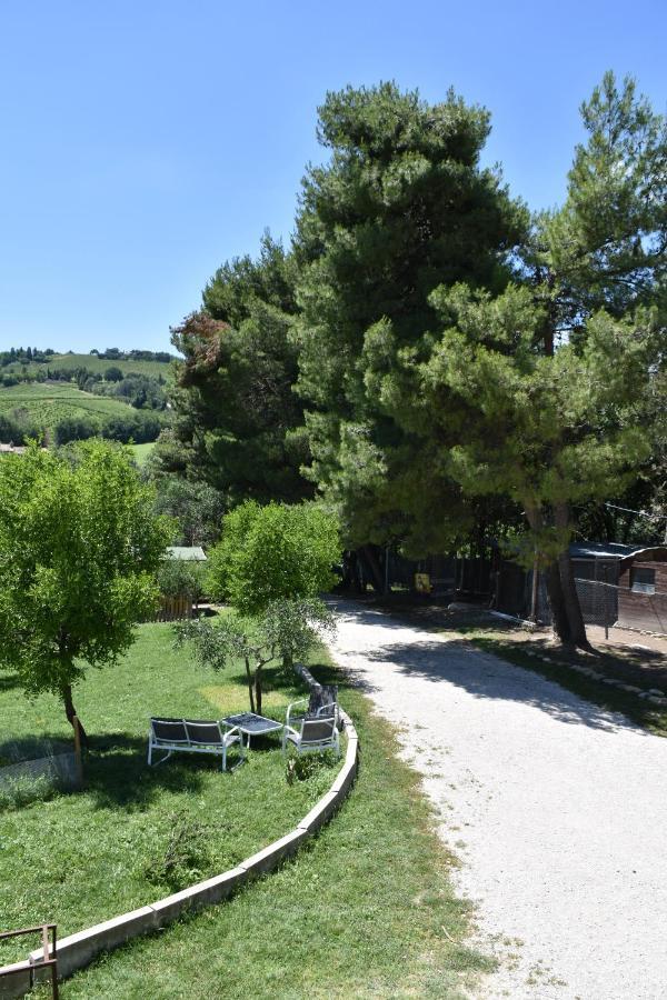 Fattoria Country Village Montecarotto Exteriér fotografie